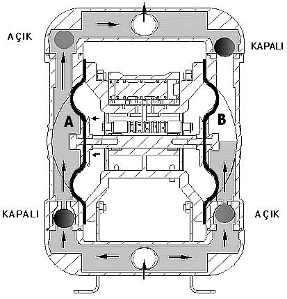 Aşağıdaki şemada pompanın çalışma prensibi anlatılmıştır. Pompada iki adet valf sistemi bulunmaktadır. Pompa dışı valf, havayı diyaframlara dağıtır.