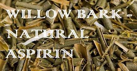 Willow bark natural aspirin Acetylsalicylic acid in the form of white tablets known for over a century, but the origin of the substance which is the main component of world-renowned medicine is known