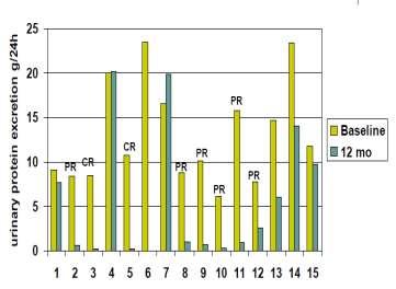 Prospektif, 15 MN hastası CrCl 30 ml/dk, Proteinüri>5 g/24 saat Son 4 ayda prednisone, CsA veya MMF son 6 ayda CP kullanan hastalar alınmıyor. Rituksimab 1 ve 15.