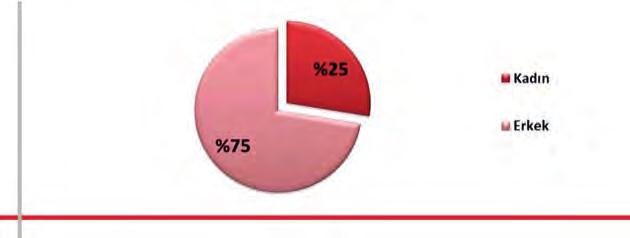 Ajans insan kaynaklarıyla ilgili diğer bilgiler aşağıdaki gibidir: Grafik.