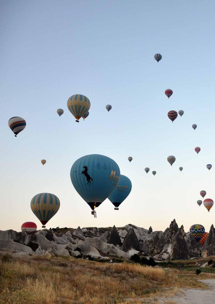 nde (NEVÜ) 15-20 Nisan Turizm Haftası kutlama etkinlikleri kapsamında, 1. Kapadokya Turizm Haftası Paneli: Turizmde Yeni Vizyon konulu panel düzenledi.