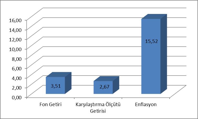 Geçmiş getiriler gelecek dönem performansı için bir gösterge sayılmaz.