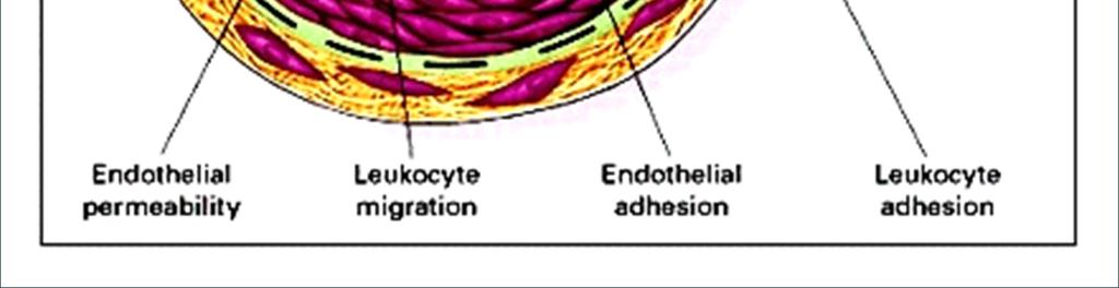 Aterosklerozda Endotelyal
