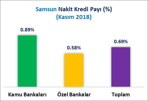Samsun ilinin 2018 Kasım sonu itibariyle kamu bankaları nakit kredi stoku payı %0.89, özel bankalar nakit kredi stoku payı %0.58, toplam nakit kredi stoku payı %0.69 oranındadır.