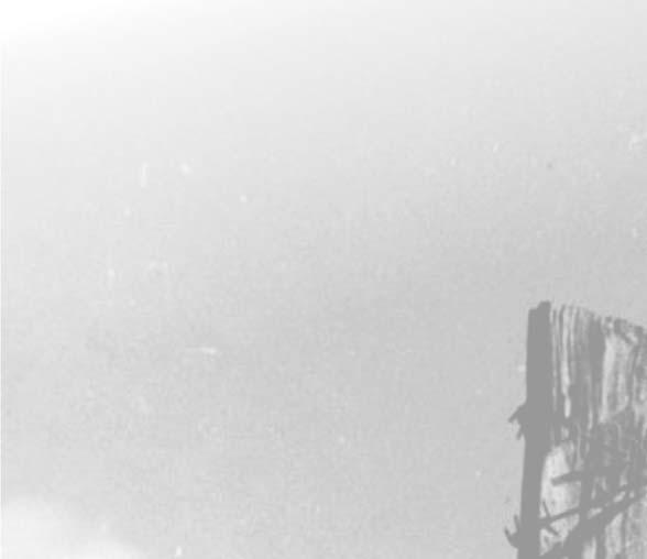 «Қызыл жебеде» қазақтың қайраткер аткер ұлы Тұрар Рысқұловтың күреске толы өмір жолы, 30-жылдардағы нәубет кезіндегі әміршіл-әпербақан жүйеге қарсы тұрған ерлігі баяндалады.