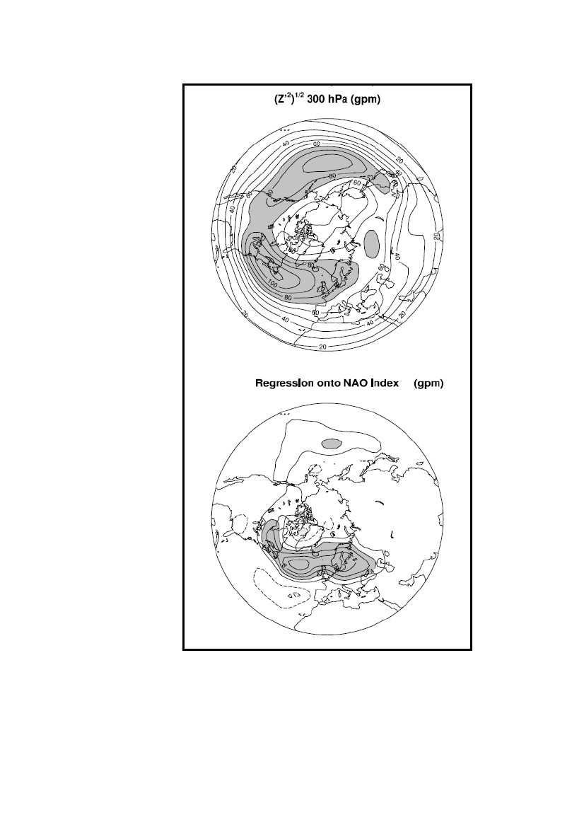 Şekil X:Ortalama Fırtına Göstergeleri 1958-1998: Üstte 1958-1998 kışları için 2-8 günlük dalgalanmaları içermesi için300 hpa nın kare kökü ortalama karesi geçici jeopotansiyel yüksekliklerin