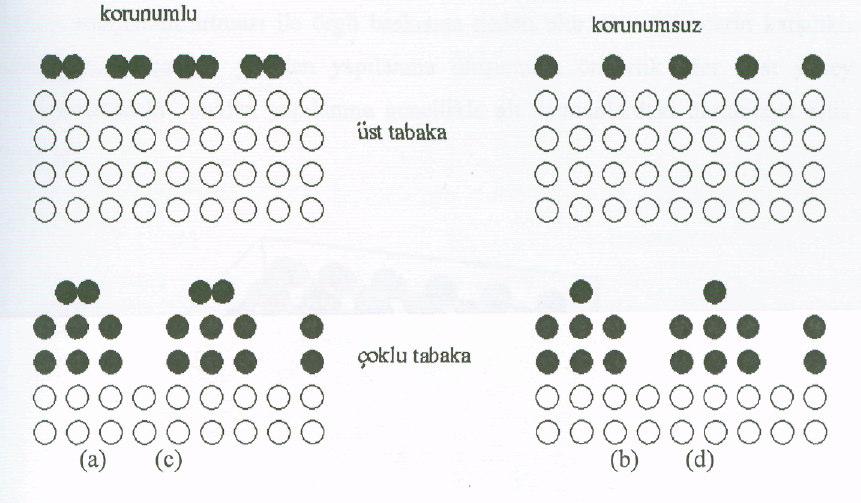 (a) (b) Şekil.6 a. yeniden yapılanmamış yüzey, b. yeniden yapılanmış yüzey Korunumlu yeniden yapılanmada atom sayısı korunur.