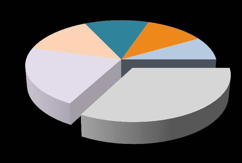 %47 Internet / Çağrı Merkezi 15% Türkiye 20% Uzak