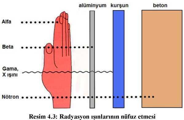 44 5.1.2 Radyasyon Dozu Radyasyon dozu, hedef kütle tarafından belli bir sürede alınan radyasyon miktarıdır. Radyasyon, duyu organlarıyla saptanamaz bir tehlikedir.