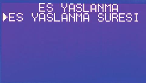 iv) Eş Yaşlanma: Eş yaşlanma süresinin ayarlanabildiği bölümdür. 5.