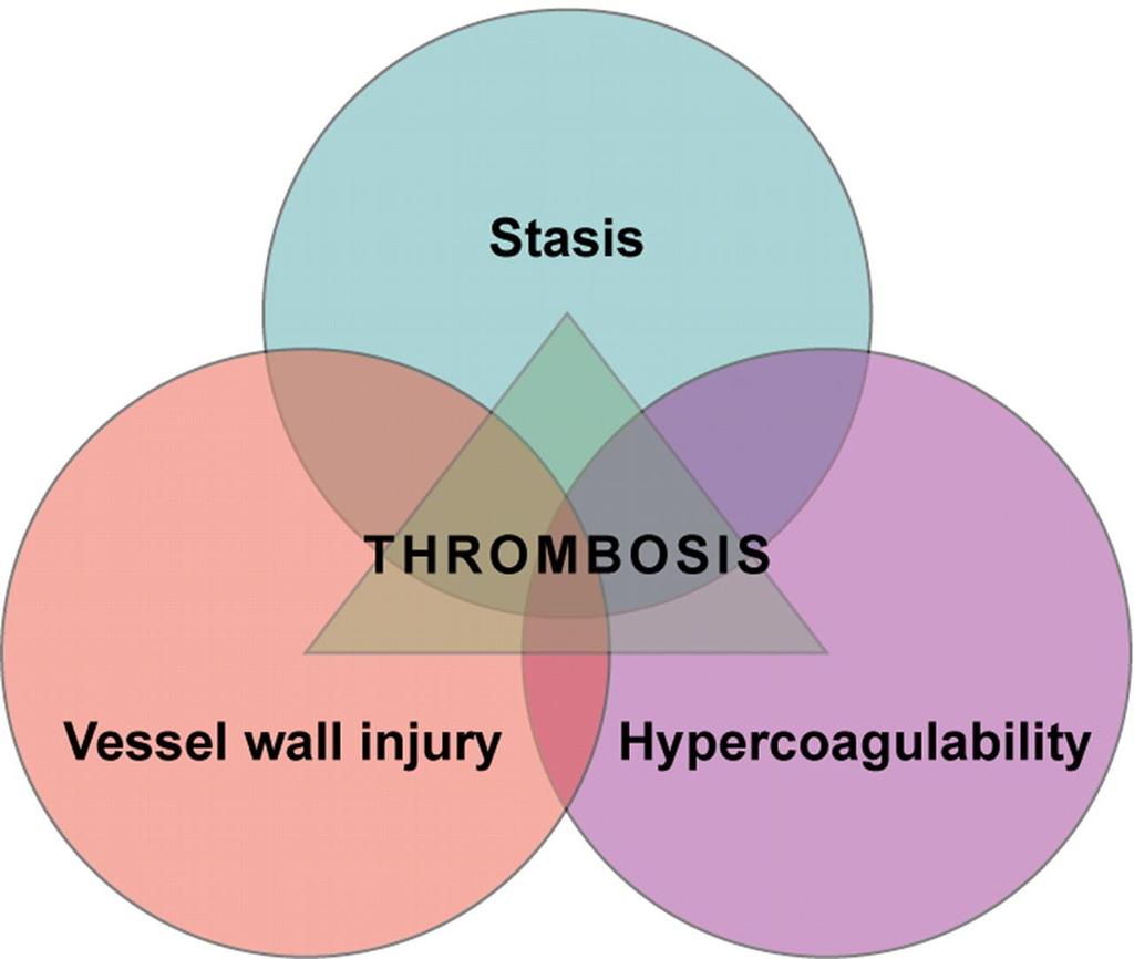 Virchow's triad. Virchow, R.