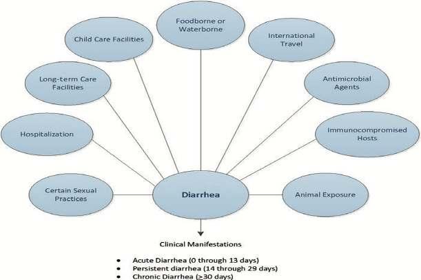 İshal epidemiyoloji II 4 Shane AL etal (2017) IDSA clinical practice