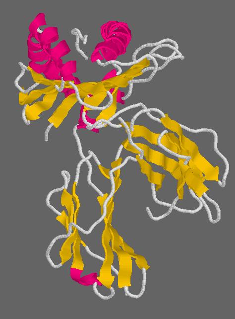 Peptide