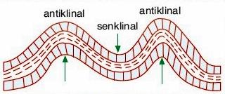 Bu kıvrımların yüksek kısımlarına yani sıradağlara Antiklinal, çanak şeklindeki çukur yerlere ise Senklinal denir.