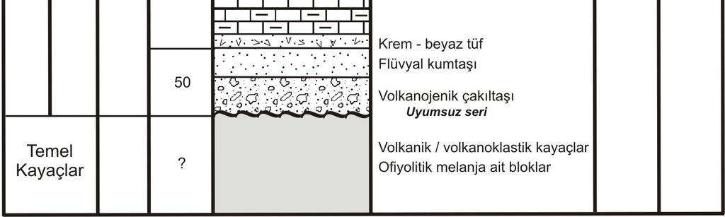 genelleştirilmiş