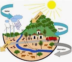 Ekotoksikoloji; Toksikolojinin son yıllarda önem kazanan çevre kirlenmesini de uğraş alanı içine alan dalıdır.