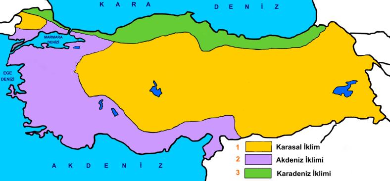 6- Rüzgârlar: Rüzgârlar geldikleri yerin sıcaklığını taşırlar, sıcak yerlerden gelen rüzgârlar sıcaklığı artırırken; soğuk yerlerden gelen rüzgârlar sıcaklığı azaltır.