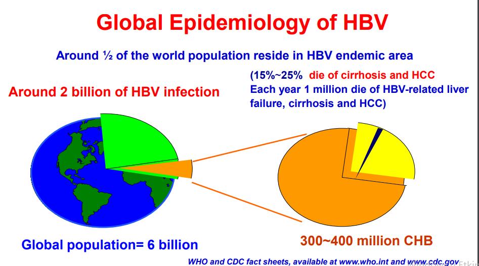 Dünya nüfusunun yarısı HBV açısından endemik bölgelerde yaşamakta ~2 milyar HBV