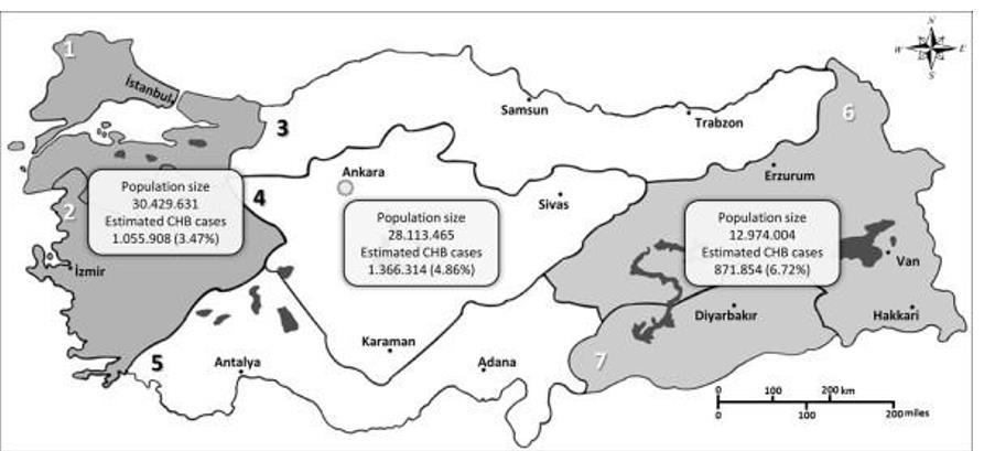 Türkiye ve HBV Yeni olgu: 6500/yıl %50 bulaş yolu belirsiz Horizontal HBsAg prevalansı Yaklaşık 3.3 milyon (ort.