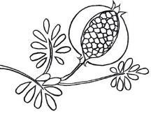 ağaçlardır. 359 2.2.1.4. Yemiş ve Meyveler: On sekizinci yüzyıla kadar seyrek daha sonraları çok yaygın şekillerde kullanılmıştır.