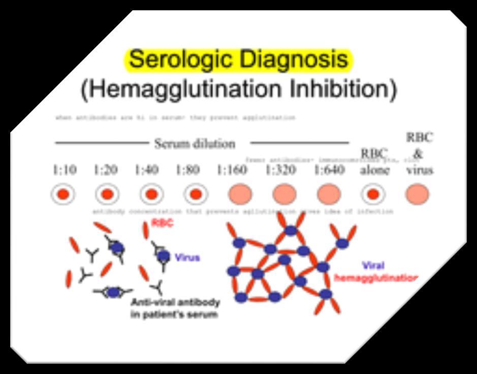 HEMAGLÜTİNASYON İNHİBİSYON TESTİ http://www.