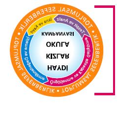 yılında kampanyaya dâhil edilen iller Kampanya Uygulama süreçleri şöyle sıralanmıştır. Örgütlenme ve kapasite geliştirme Tespit ve analiz İkna ve kayıt İzleme ve değerlendirme Şekil 2.