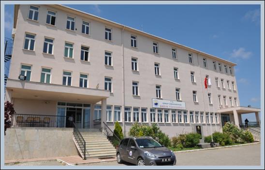 Sağlık Yüksekokulu: Sağlık Yüksekokulunun alt yapısını oluşturan, Sinop Sağlık Hizmetleri Meslek Yüksekokulu, 1992 Yılında Sağlık Bakanlığı ile Yükseköğretim Kurulu arasında imzalanan ''Sağlık Meslek