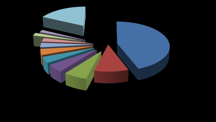 İSVİÇRE 2% DİĞER 18% İZMİR'E GELEN YABANCI