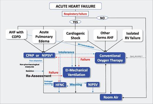 Kalp Yetmezliği From: Indications and practical approach to non-invasive ventilation in acute heart failure Eur Heart J. 2017;39(1):17-25. doi:10.
