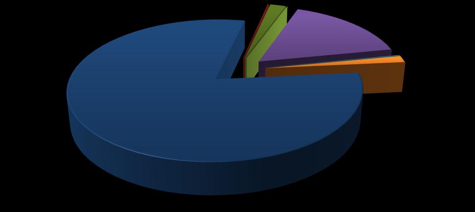 MAL VE HİZMET ALIM GİDERLERİ Sİ 0% 0% 2% 0% 0% 0% 0% 16% 0% 2% 80% ÜRETİME YÖNELİK MAL VE MALZEME AL. TÜKETİME YÖNELİK MAL VE HİZMET AL.G. YOLLUKLAR GÖREV GİDERLERİ HİZMET ALIMLARI TEMSİL VE TANITMA GİDERLERİ MENKUL MAL, GAYRİMADDİ HAK AL.