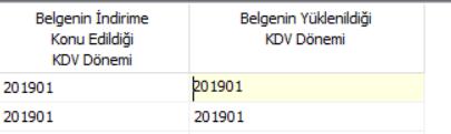 Bu alanlar aracılığı ile beyan edilecek belgelere ait GİB formatında Excel oluşturulduğunda ilgili alanların Excel e