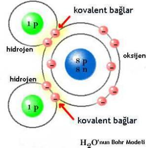 atomlardan oluşan moleküller kovalent bağ yapısındadır.