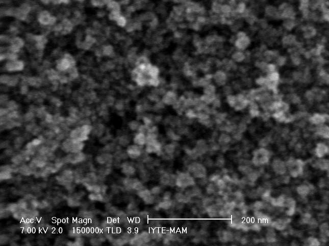 manyetik parçacıkların boyutunu 13.2±5.2 nm olarak gösteren SEM görüntüsü. Şekil 4.