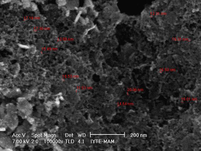 manyetik parçacıkların boyutunu 15.4±2.3 nm olarak gösteren SEM görüntüsü. Şekil 4.