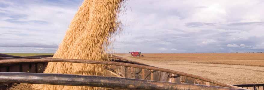 Buğday aktarması / Wheat transshipment Latifundist.com: Ticaret savaşını kim kazanacak: Rusya mı Türkiye mi? Ukrayna, buğday tedariki açısından portföyümüzde üçüncü sırada.