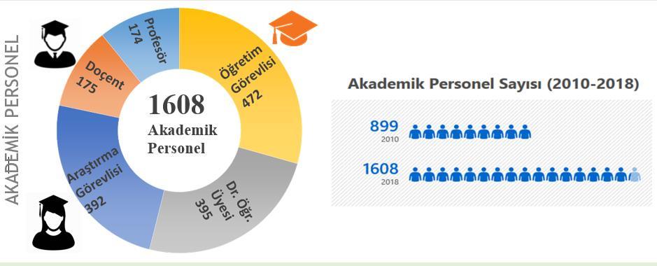 BİR BAKIŞTA MUĞLA SITKI KOÇMAN ÜNİVERSİTESİ AKADEMİK PERSONEL