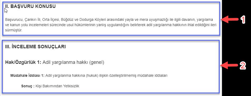 1 ve 2 numaralı alanlarda Karar Bilgi Formunun ikinci ve üçüncü bölümleri olan Başvuru