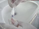 Protezin polisajını yapınız. Protez yıkayınız. Birinci uygulama faaliyetindeki polisaj iģlemlerindeki sırayı takip ederek yapınız. Sabun veya deterjan ile temizleyiniz.