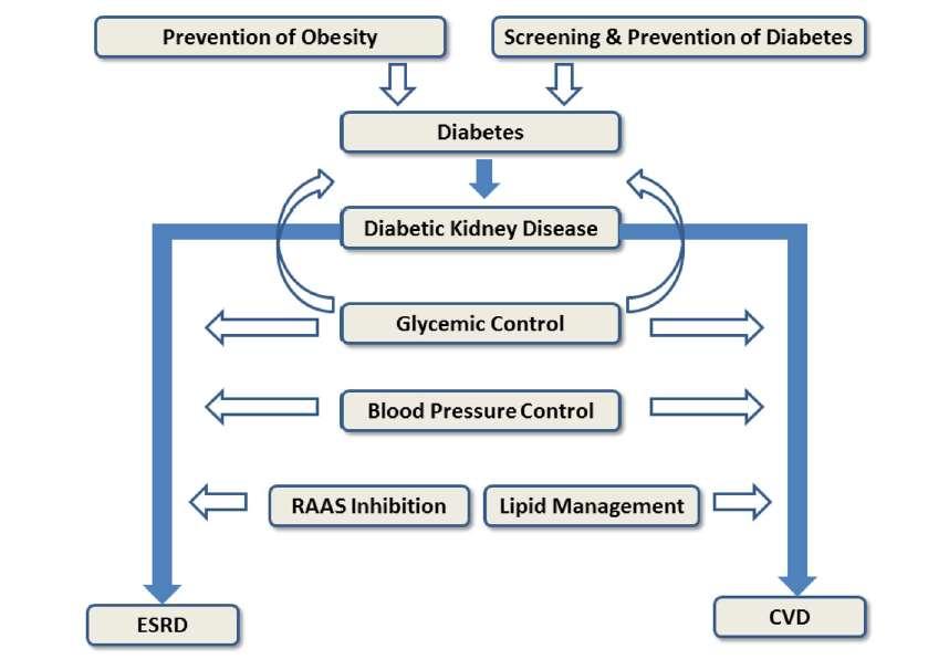 The best approach to prevent diabetic kidney disease is to