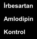 Amlodipin Kontrol RRR %23 P=0.006 RRR %20 P=NS P=0.