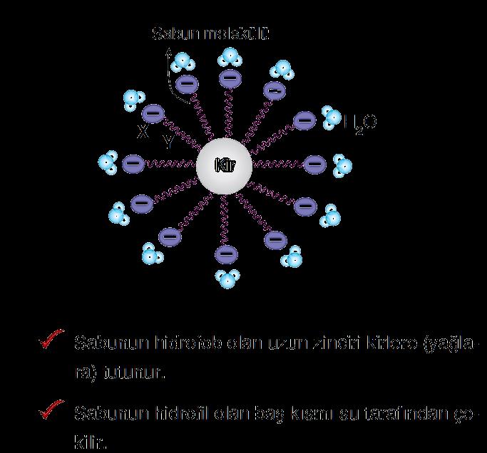 olurlar. Hidroliz esterleşme olayının tersidir.