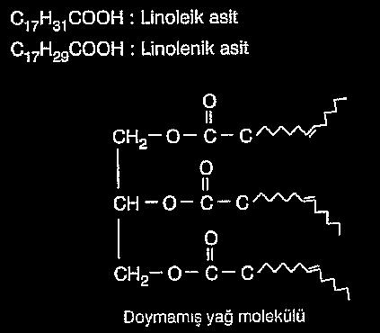 Sıvı yağlar uzun zincirli doymamış yağ asitlerinden Katı yağlar ise uzun zincirli doymuş yağ asitlerinden oluşur. Dolayısıyla sıvı yağlara doymamış yağlar, katı yağlara da doymuş yağlar denilebilir.