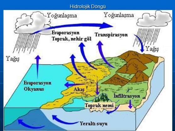 Atık maddelerle yüklü bu sular hidrolojik dolaşım sırasında temizlenmektedir.