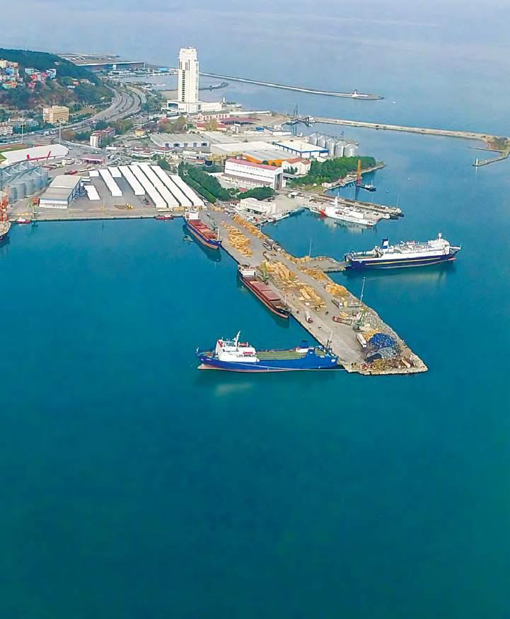 20.000.000 TON LIMANLARDA ELLEÇLENEN YILLIK YÜK MIKTARI PORT SERVICES The import and export process of all kinds of commodities can only be accomplished with a complete logistic service.