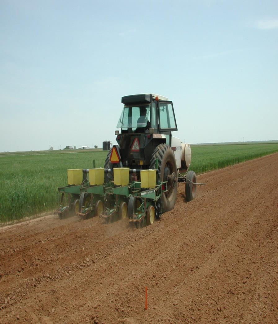 Pamuk ekimi; Mibzerle sıraya, Sırta ve Karık içerisine olmak üzere üç şekilde yapılır. Ülkemizde yaygın olarak mibzerle sıraya ekim yapılmaktadır.