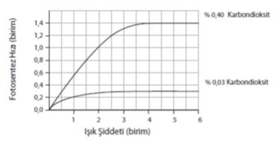 184 Soru 12: Ayten, ışık şiddeti ve karbondioksit miktarının, fotosentez hızı üzerindeki etkilerini araştırmaktadır.