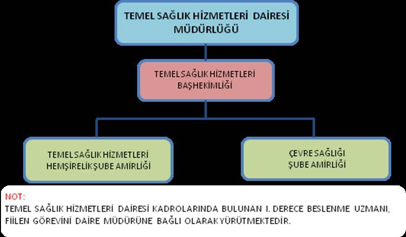 5.3. TEMEL