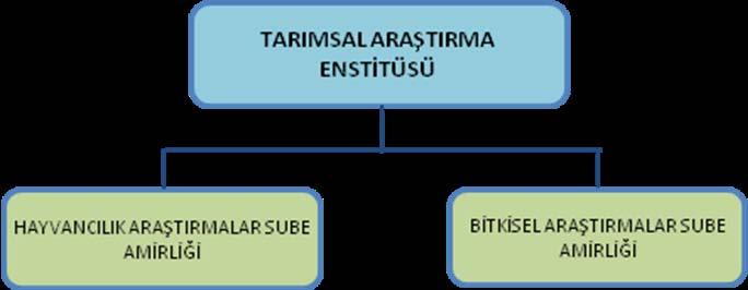 6. TARIMSAL