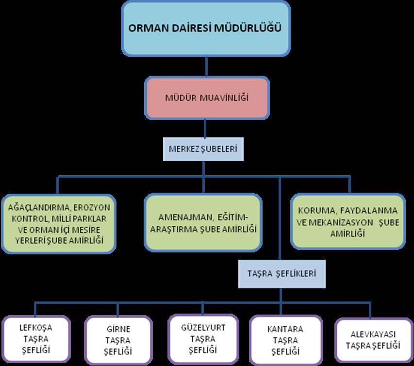 6.7. ORMAN