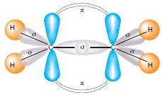 VİDE FASİKÜLLERİ İBRİTLEŞME Merkez Atomun ibritleşmesi Farklı enerji düzeyindeki orbitallerin kaynaşarak aynı enerjili özdeş orbitallere dönüşmesine hibritleşme (melezleşme) denir.